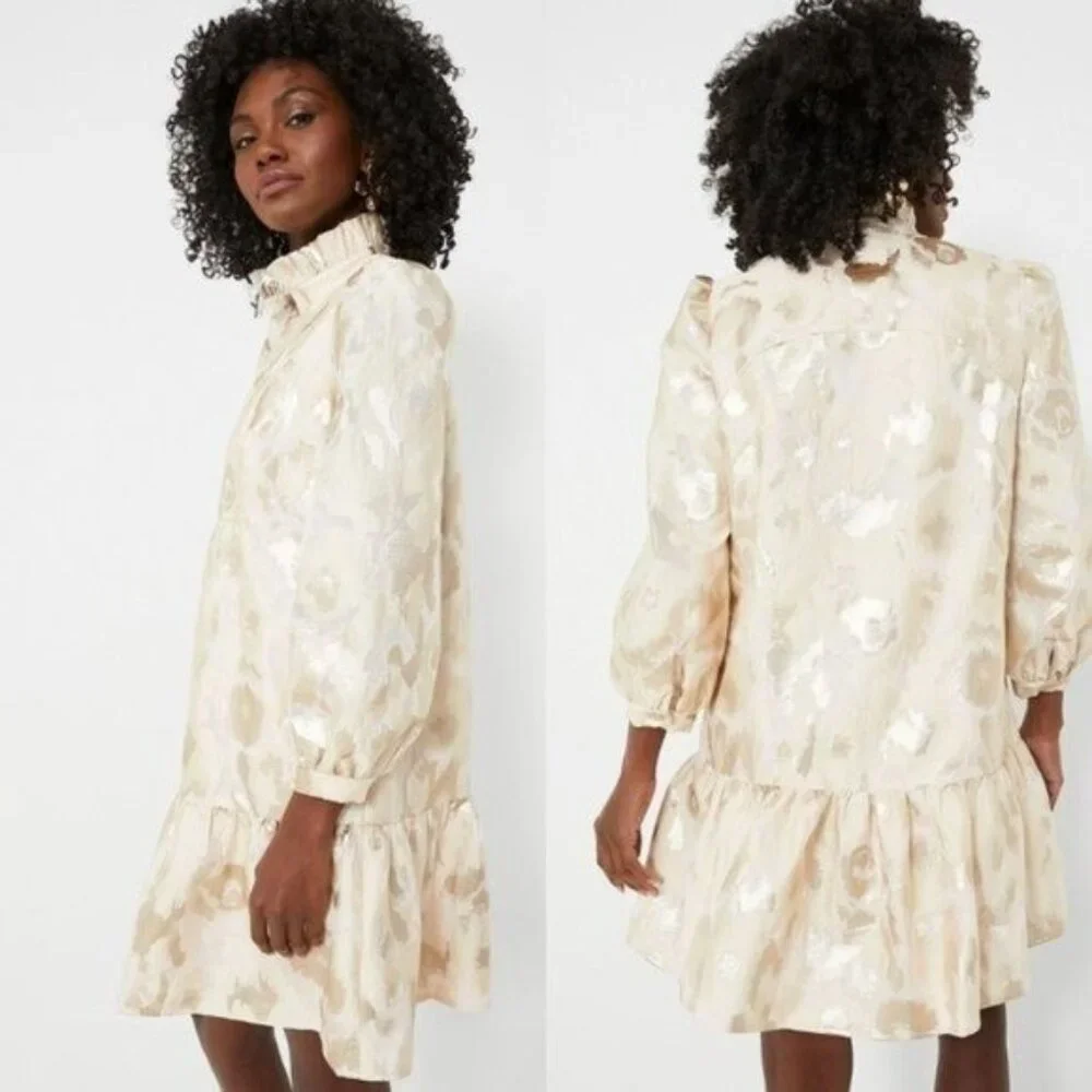 Tuckernuck NEW Champagne Fil Coupe Palmerston Formal Mini Dress Size S - Picture 3 of 10
